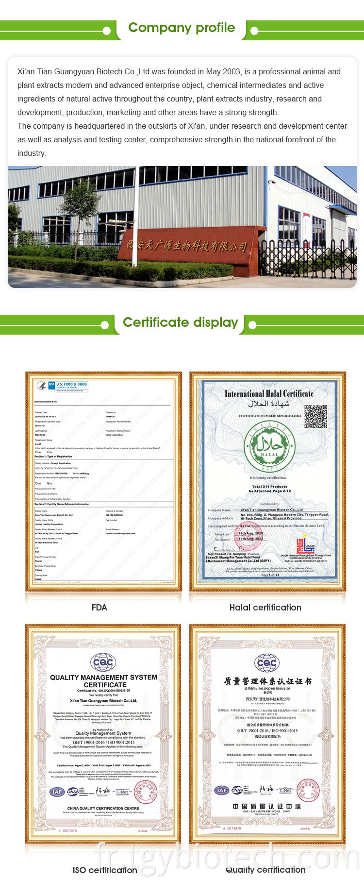 certificate display